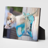 Kätzchen in einem Schuh Fotoplatte (Seite)