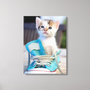 Kätzchen in einem Schuh Leinwanddruck