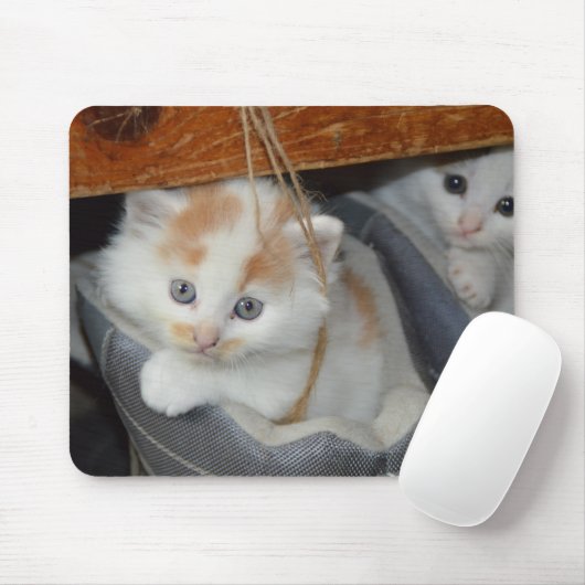 Kätzchen in einem Sneaker Mousepad (Mit Mouse)