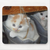 Kätzchen in einem Sneaker Mousepad (Vorne)