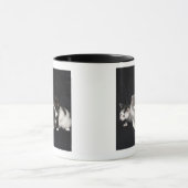 Kätzchen in einem Studio-Schuss Tasse (Zentrum)