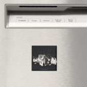 Kätzchen in einem Studio Shot Magnet (In Situ (Geschirrspüler))