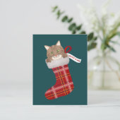 Kätzchen in einem WeihnachtsStrumpf Feiertagskarte (Stehend Vorderseite)