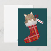 Kätzchen in einem WeihnachtsStrumpf Feiertagskarte (Vorne/Hinten)