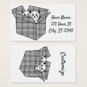 Kätzchen in einer Box mit Thunder_Cove (Vorne & Hinten)