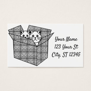 Kätzchen in einer Box mit Thunder_Cove