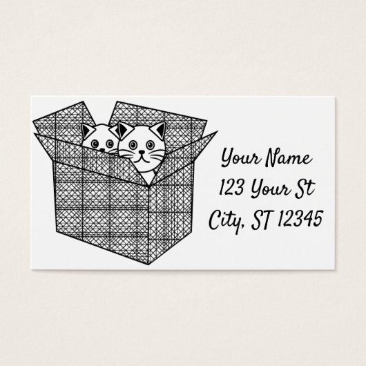 Kätzchen in einer Box mit Thunder_Cove (Vorderseite)