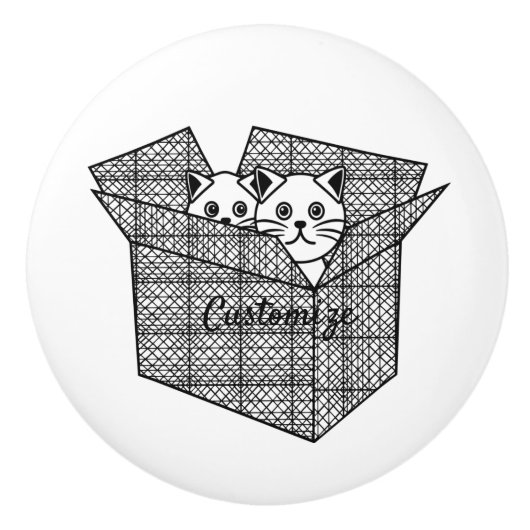 Kätzchen in einer Box mit Thunder_Cove Keramikknauf (Vorderseite)
