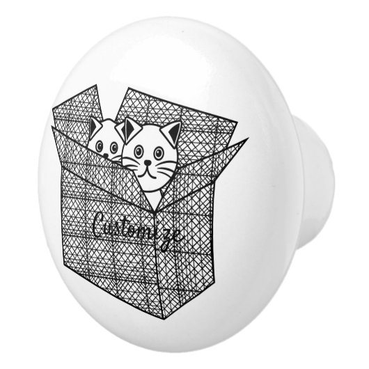 Kätzchen in einer Box mit Thunder_Cove Keramikknauf (Rechts)