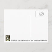 Kätzchen in einer eggshell-Postkarte Postkarte (Rückseite)