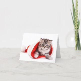 Kätzchen in einer Weihnachtsmannmütze Feiertagskarte
