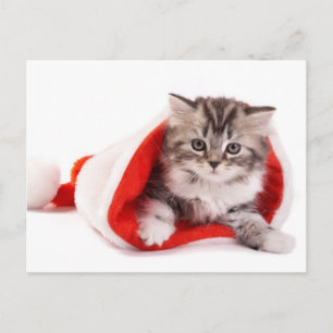Kätzchen in einer Weihnachtsmannmütze Feiertagspostkarte