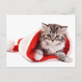 Kätzchen in einer Weihnachtsmannmütze Feiertagspostkarte