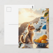 Kätzchen in Italien Postkarte (Vorne/Hinten)