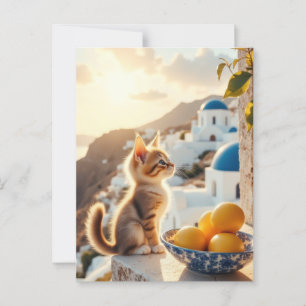 Kätzchen in Italien Postkarte
