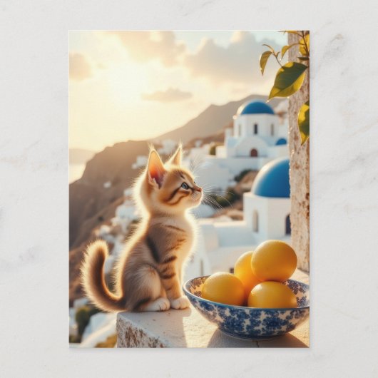 Kätzchen in Italien Postkarte (Vorderseite)