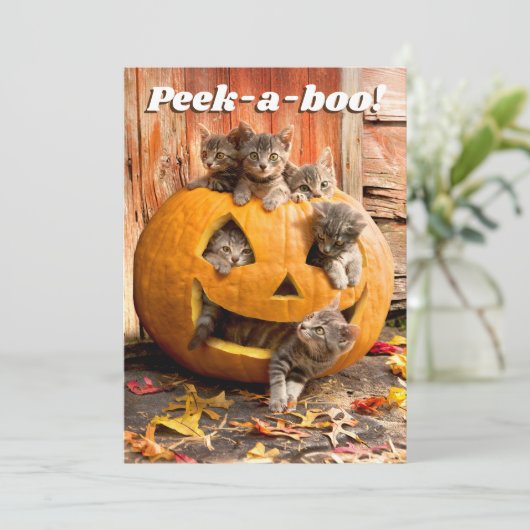 Kätzchen in Jack-o-Lantern Einladung (Stehend Vorderseite)