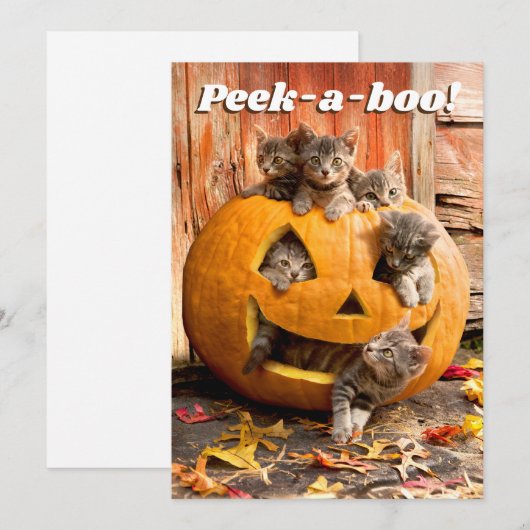 Kätzchen in Jack-o-Lantern Einladung (Vorne/Hinten)