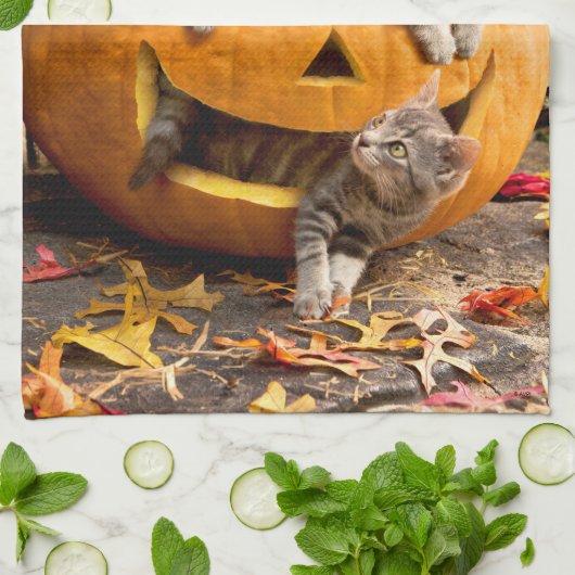 Kätzchen in Jack-o-Lantern Geschirrtuch (Gefaltet)