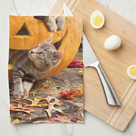 Kätzchen in Jack-o-Lantern Geschirrtuch (Viertel Falte)