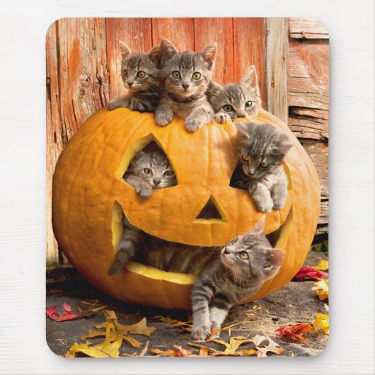 Kätzchen in Jack-o-Lantern Mousepad (Vorne)
