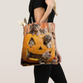 Kätzchen in Jack-o-Lantern Tasche (Von Nahem)