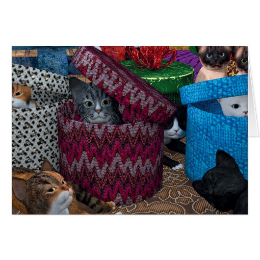 Kätzchen in Kartons (Vorderseite (Horizontal))