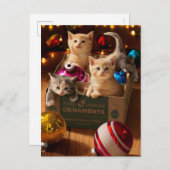 Kätzchen in Schachtel Einladungspostkarte (Vorne/Hinten)
