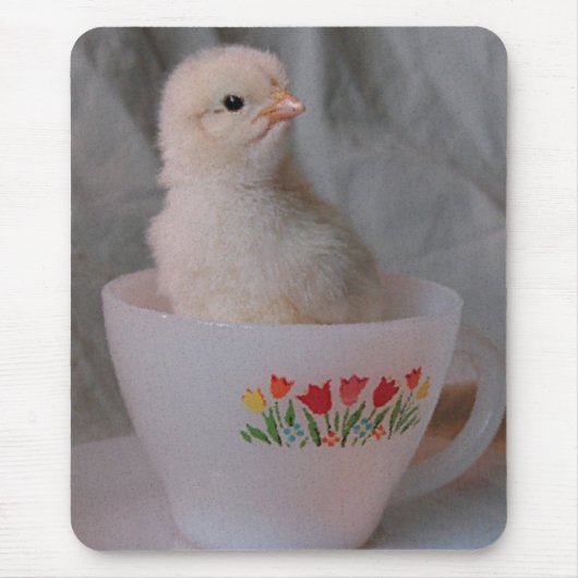 Kätzchen in Vintagem Teacup Mousepad (Vorne)