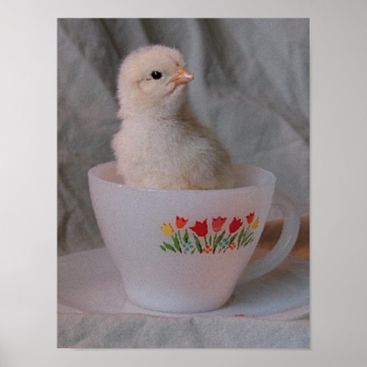 Kätzchen in Vintagem Teacup Poster (Vorne)