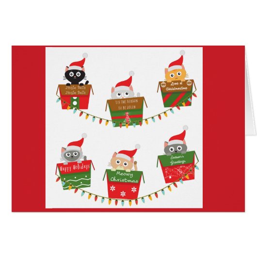 Kätzchen in Weihnachtsboxen Baumlichter (Vorderseite (Horizontal))