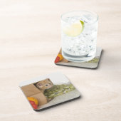 Kätzchen innerhalb der Einkaufstüte Getränkeuntersetzer (Rechte Seite)