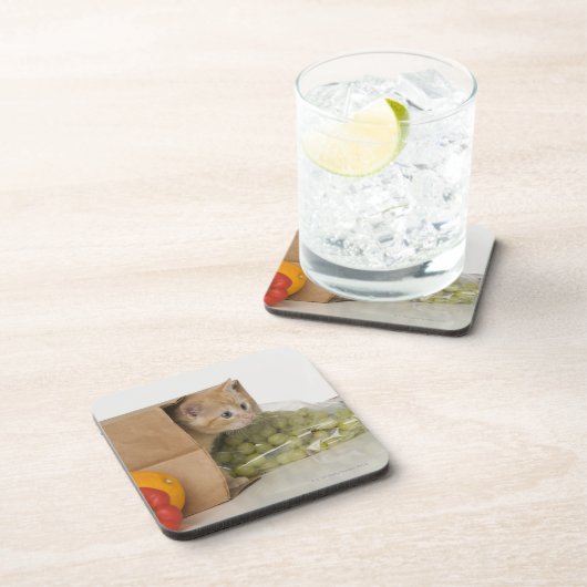 Kätzchen innerhalb der Einkaufstüte Getränkeuntersetzer (Rechte Seite)