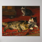 Kätzchen | Julius Adam the Younger Poster (Vorne)