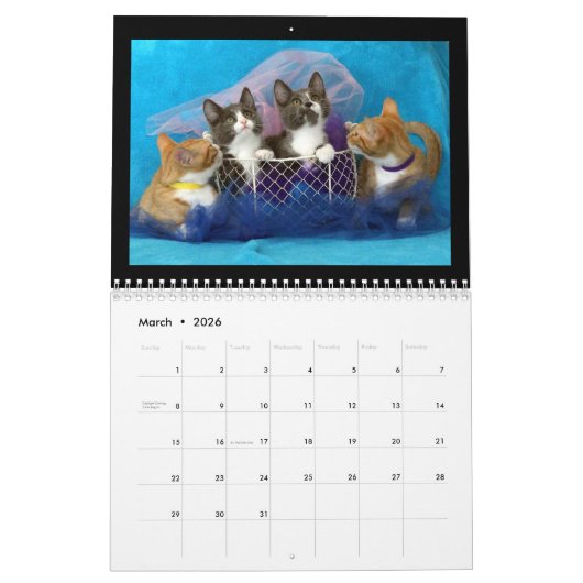 Kätzchen-Kalender 2018 Kalender (Mär 2026)