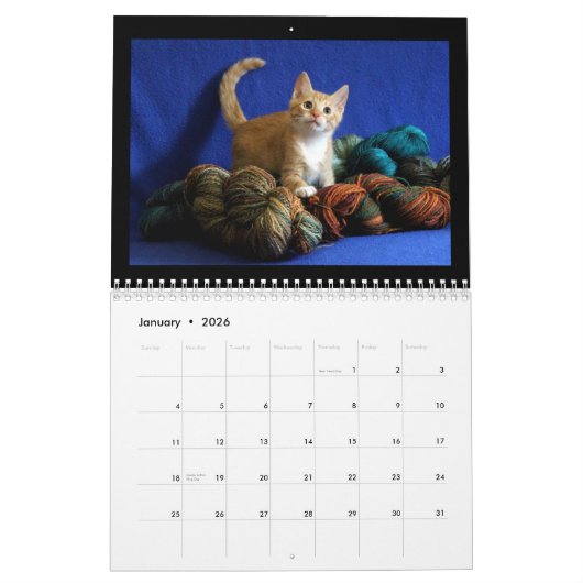 Kätzchen-Kalender 2018 Kalender (Jan 2026)