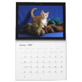 Kätzchen-Kalender 2018 Kalender (Jan 2027)