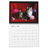 Kätzchen-Kalender 2018 Kalender (Feb 2027)