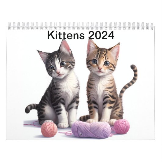 Kätzchen Kalender 2024 (Titelbild)