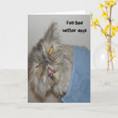 Kätzchen Karte (Gelbe Blume)