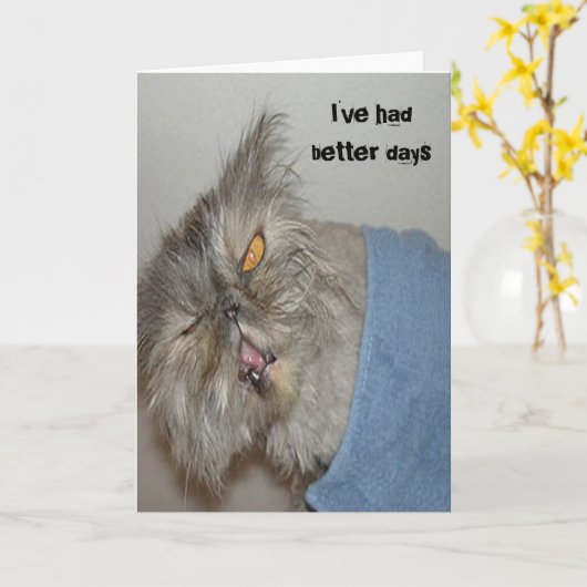 Kätzchen Karte (Gelbe Blume)