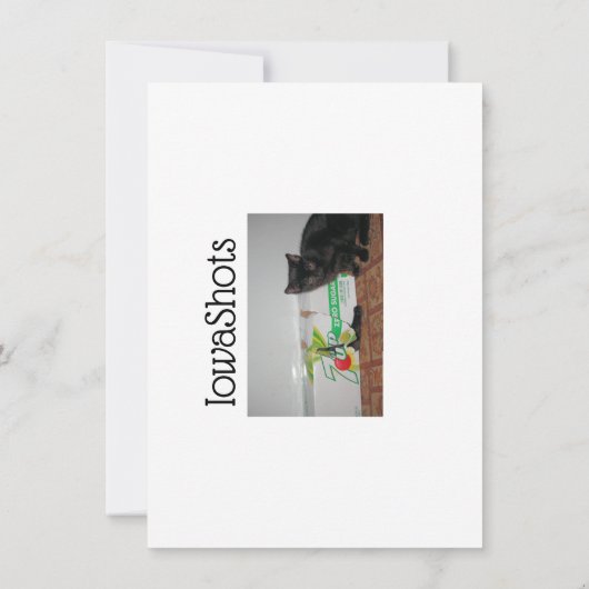 Kätzchen Karte (Rückseite)