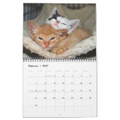Kätzchen, Kätzchen! Kalender (Feb 2027)