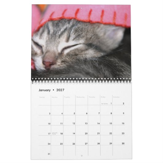 Kätzchen, Kätzchen! Kalender (Jan 2027)