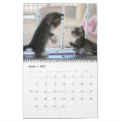 Kätzchen, Kätzchen! Kalender (Mär 2027)