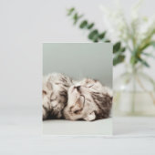 Kätzchen, Katze, niedliche Tabbattacke, niedliche Postkarte (Stehend Vorderseite)