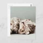 Kätzchen, Katze, niedliche Tabbattacke, niedliche Postkarte (Vorne/Hinten)