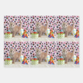 Kätzchen! (Katzen) Buffington und Patton's Geburts Geschenkpapier Set (Vorderseite 3)