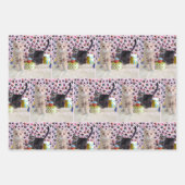 Kätzchen! (Katzen) Buffington und Patton's Geburts Geschenkpapier Set (Vorderseite 2)