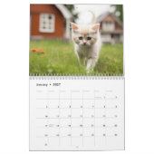 Kätzchen & Katzen Kalender (Jan 2027)